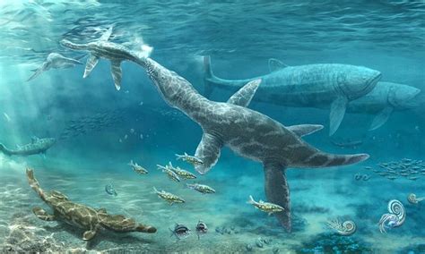 Deep Sea Predators Thrived As Ocean Levels Rose During The Jurassic