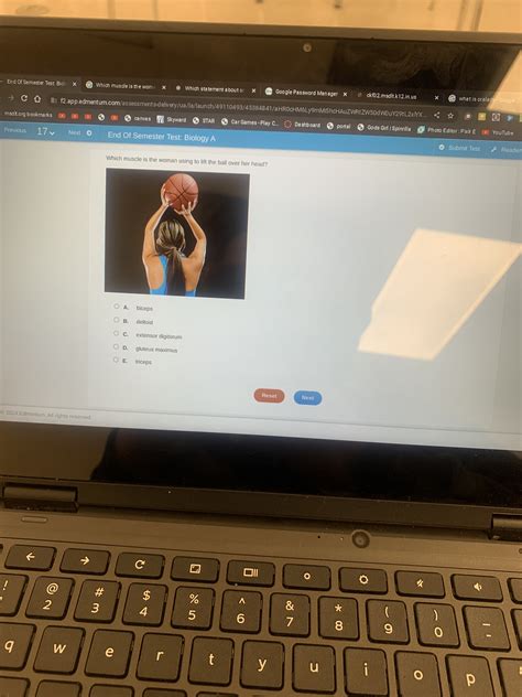 Which muscle is the woman using to lift the ball over her head? A