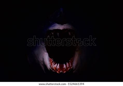 Terrifying Bloody Shark Teeth Darkness Stock Photo 1524661394