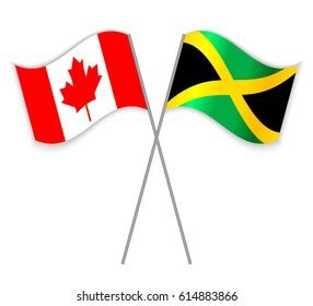 Jamaican Canadian Crossed Flags Jamaica Combined Stock Vector (Royalty ...