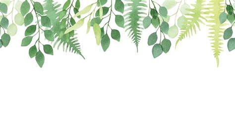 Seamless Watercolor Border Pattern Banner Cute Simple Eucalyptus And