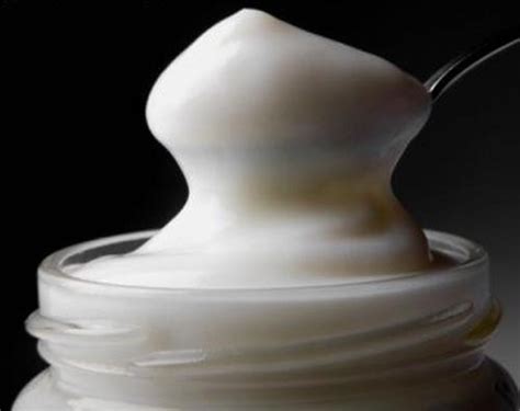 Chemical Composition Of Mayonnaise