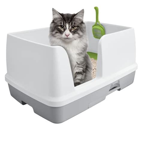 Best Extra Large Litter Box in 2022 (with Reviews!)