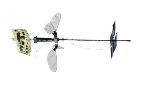 Harvard's Insect-Like RoboBee Achieves Major Solo Flight Milestone - SlashGear