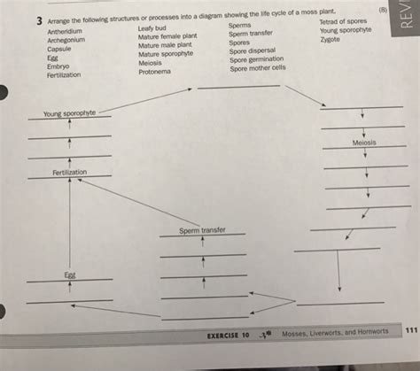 Solved: 3 Arrange The Following Structures Or Processes In... | Chegg.com