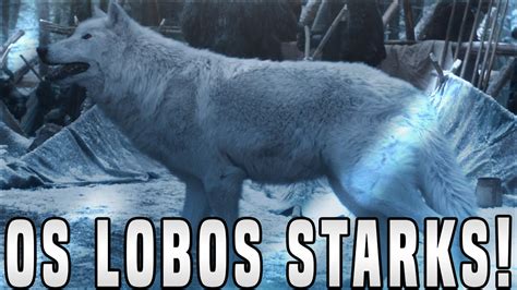 Lobos Dos Starks E Seus Significados Game Of Thrones Explicado Youtube