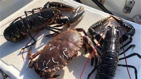 Hauling Homemade Lobster And Crab Pots Sea Fishing Cornwall The