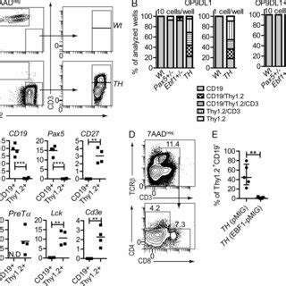 Combined Transheterozygous Loss Of Pax5 And Ebf1 Results In A Partial