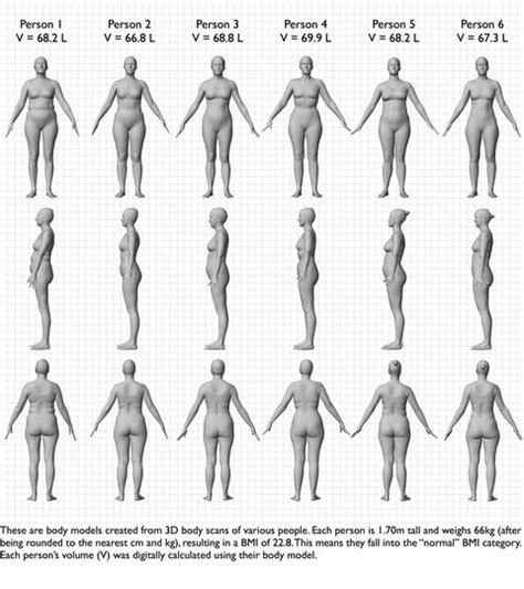 This 1 Chart Will Show You How Different Women Can Look Even With the ...