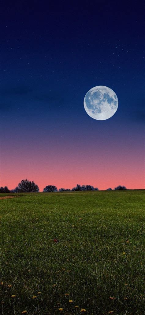 full moon setting  open field