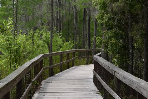 Winter in Georgia: 10 Incredible Places to Add to Your Bucket List - Uprooted Traveler