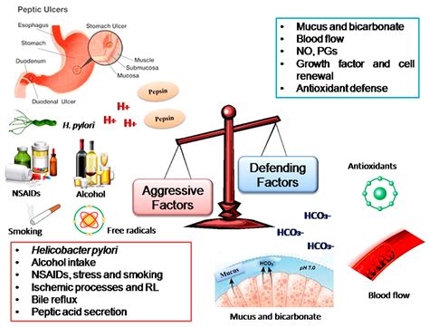 Molecules Free Full Text A Review Of The Role Of Flavonoids In