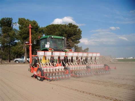 Producci N Agr Cola De Sat Hormoba Cebolla De Castilla Y Le N