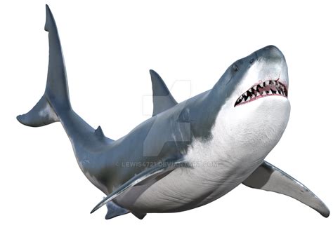 Great White Shark Png Overlay By Lewis4721 On Deviantart