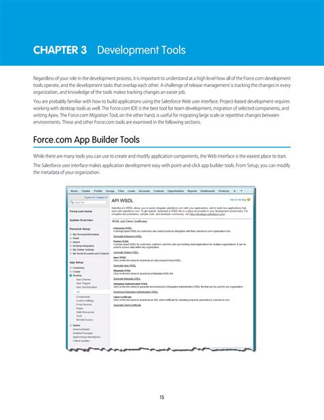 Salesforce Development Lifecycle Pdf