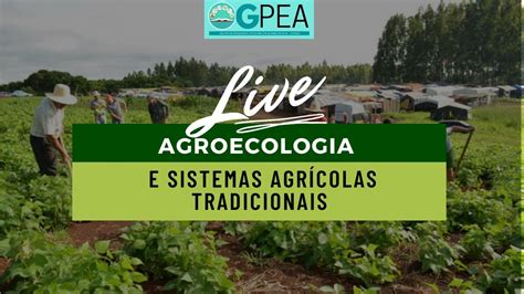 Live Agroecologia E Sistemas Agr Colas Tradicionais Youtube