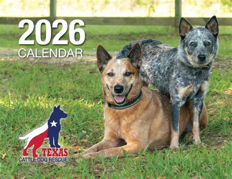 Texas Cattle Dog Rescue