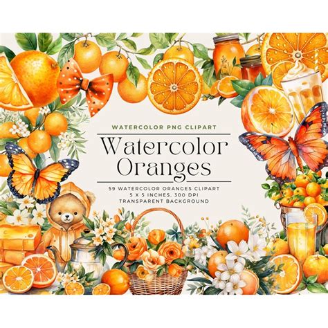 Watercolor Oranges Clipart PNG Watercolor Sublimation Orang Inspire