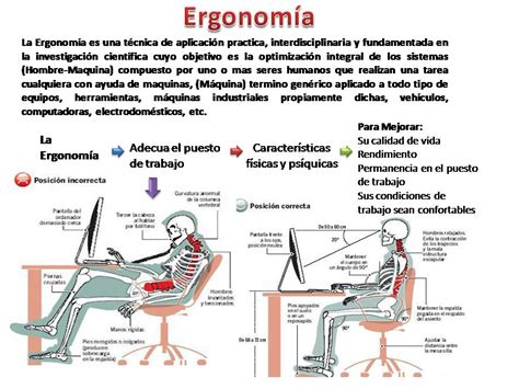 La Antropometría Y Ergonomia ~ Capacitación En Ergonomía Higiene Y Seguridad Industrial