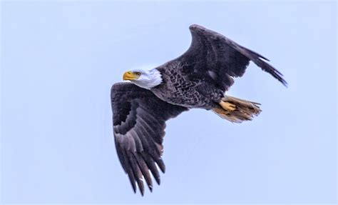 THE EAGLE HAS LANDED - Troy Brewer Ministries