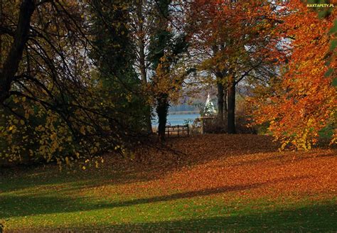 Tapety zdjęcia Park Ławka Drzewa Liście Jesień