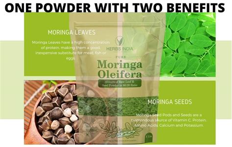 Moringa Oleifera Leaf And Seed Powder Ratio Oz Lb Tender