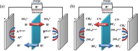 Schematic Redox Reaction And Ionic Transport Phenomena In A Aqueous