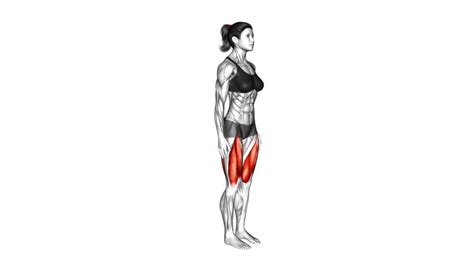 Standing Balance Quadriceps Stretch Video Guide Tips