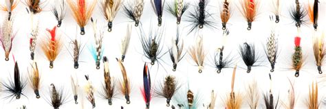 Demystifying Types of Flies, Big Ed's Fishing Ventures, Summit County