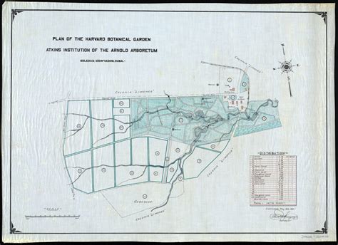 The Arnold Arboretum And The Legacy Of Slavery Arnold Arboretum