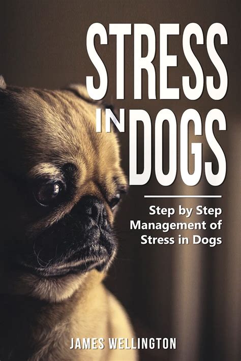 Buy Stress In Dogs Step By Step Management Of Stress In Dogs Proven