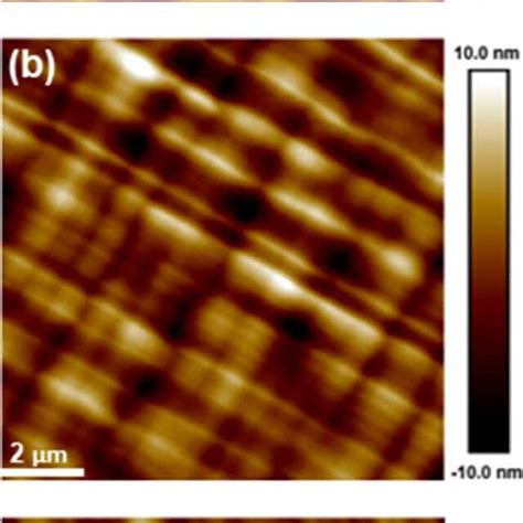 About M Afm Images Of The Surface Of As Grown Top Gaas Layer