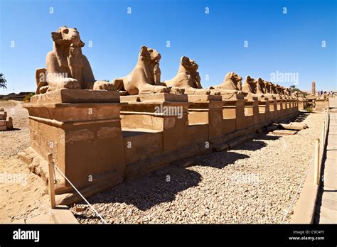 Alley Of Ram Headed Sphinxes In Front Of Karnak Templeegypt Stock