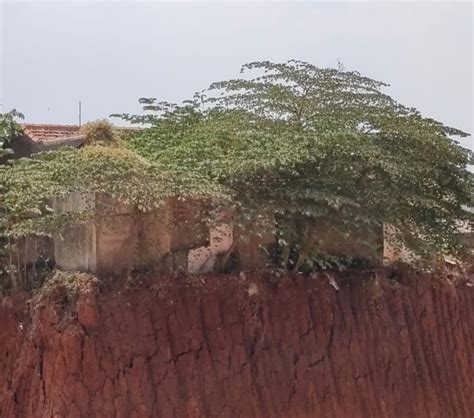 Viral Rumah Berdiri Kokoh Di Tengah Proyek Tol Cijago Depok Ini