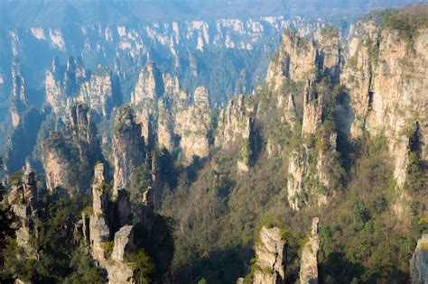 Premium Photo | Zhangjiajie national forest china