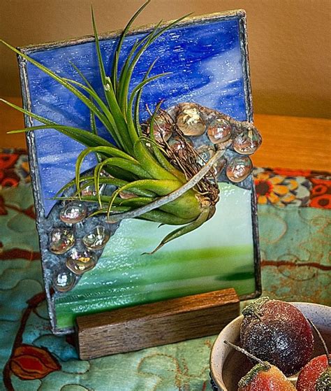 Hand Crafted Stained Glass Air Plant Display By Bc Studios Custommade