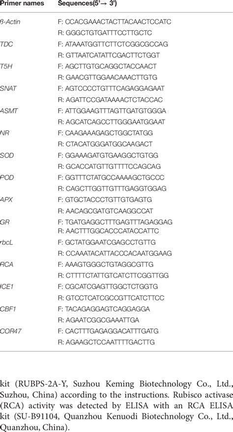 The Primer Sequences Of Quantitative Real Time Pcr Qrt Pcr