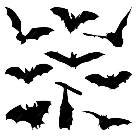 Premium Vector Bat Silhouette Isolated Black On White Background