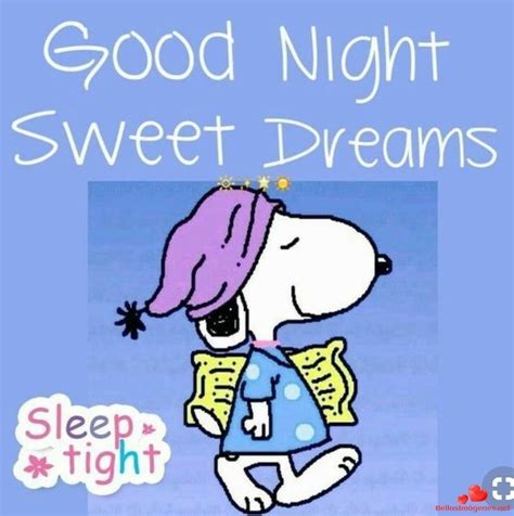 Charlie Brown Und Snoopy Charlie Brown Quotes Images Snoopy Snoopy Pictures Good Night Sweet