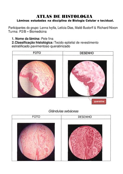 Atlas De Histologia 1 ATLAS DE HISTOLOGIA Lminas Estudadas Na