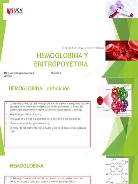 Hemoglobina Y Eritropoyetina Ucv Pdf Hemoglobina Biología Celular