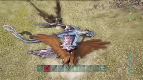 Ark Official Pvp Griefing Asw Vvv Vs Asw Youtube