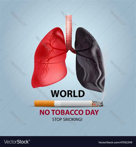 World No Tobacco Day Poster Lungs With Cigarette Vector Image