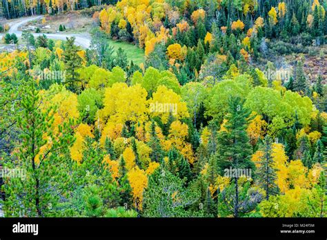 An Aerial Photograh Of The Fall Colours In Northern Ontario Stock Photo