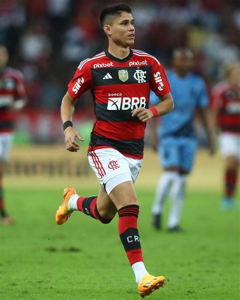 Luiz Araujo Flamengo Luiz Araujo Flamenguista Araujo