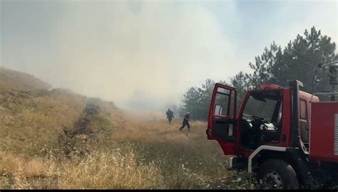 Orumda Ormanl K Alanda Yang N Orum Haber Gazetesi