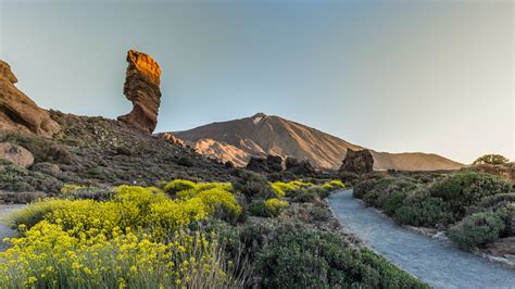 Excursiones Al Teide Y Visitas Guiadas Musement