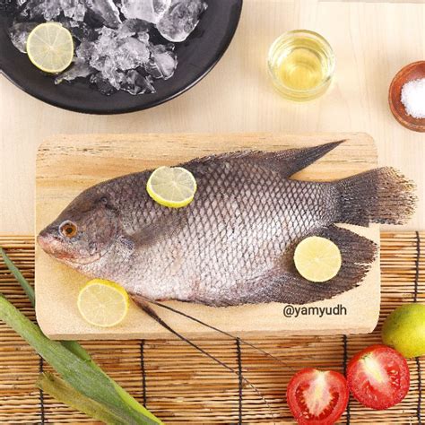 Jual Ikan Gurame Gurami Fresh Segaar 1kg Shopee Indonesia