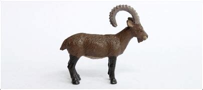 Siberian ibex - Toy Animal Wiki