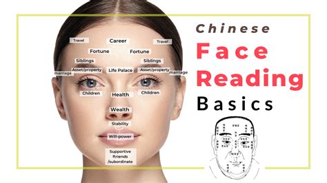 Chinese Face Reading Basics — Picture Healer Feng Shui And Fortune Telling